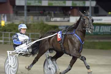 PONNYKVAL OBS! INGET SPEL I DETTA LOPP MÖRKBRUN def. - start.0 THAI TONIC 0: 00, L 00,8 K *00,0 AK 9.,br. s. e Tyson II - 8: 0 0-0-0 0 : 0 0-0-0 0 Tot: 9 0-- Emilia L.