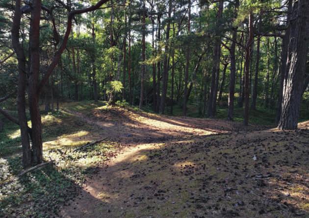 Miljö och hållbarhet I Ängelholms kommun finns fantastiska naturtillgångar där havet, skogarna, sjöarna, åarna och jordbruksmarken skapar en attraktiv helhet.
