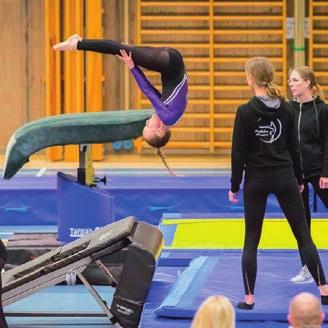Engelholmsgymnasterna Engelholmsgymnasterna har under året ökat sitt medlemsantal rejält.
