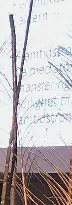 Syftet med studien var dels att ta reda på hur företagen och företagarna mår, deras framtidstro och vilka framtida utmaningar de ser vad gäller ekonomi, väder och klimat, politiska