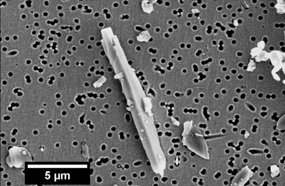 SiC nanoparticles are increasingly produced. Exposure in SiC production The most extensive exposure data are from the SiC production industry in Norway.