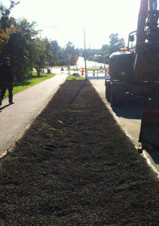 Plant bed for street trees