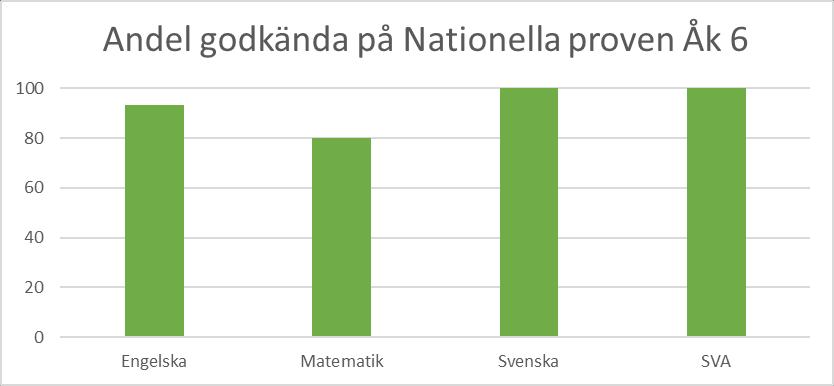 I Åk.6 var det 15 elever, 8 flickor och 7 pojkar. I de nationella proven klarar eleverna hundraprocentig uppfyllelse i svenska och svenska som andraspråk. I matematik klarar 80 % och engelska 93 %.