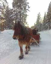 00 Etré 80 kr, ugdom 40 kr tom 20 år Cd-skivor utlottas på etrébiljette STOCKA