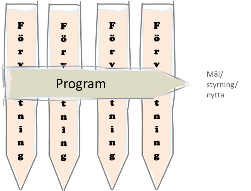 Program Ett program omfattar alla aktiviteter från analys och design till implementering i syfte att uppnå effektmål.
