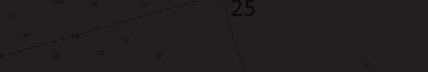 17 Nr 309