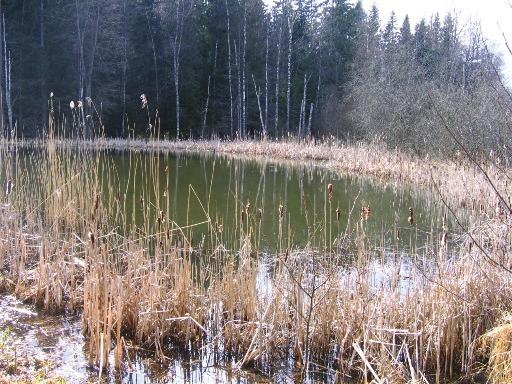 Lokalen består av en damm, cirka 1000 m 2 stor och 1meter djup, belägen vid foten av en skidbacke i Tyresta.