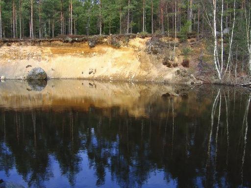 SANDTAGET Id: 18 X: 6558840 Y: 1627288 Anlagt småvatten Påträffade arter: Större vattensalamander Mindre vattensalamander Uttorkning hotar reproduktionen då ynglen behöver vatten över hela sommaren.