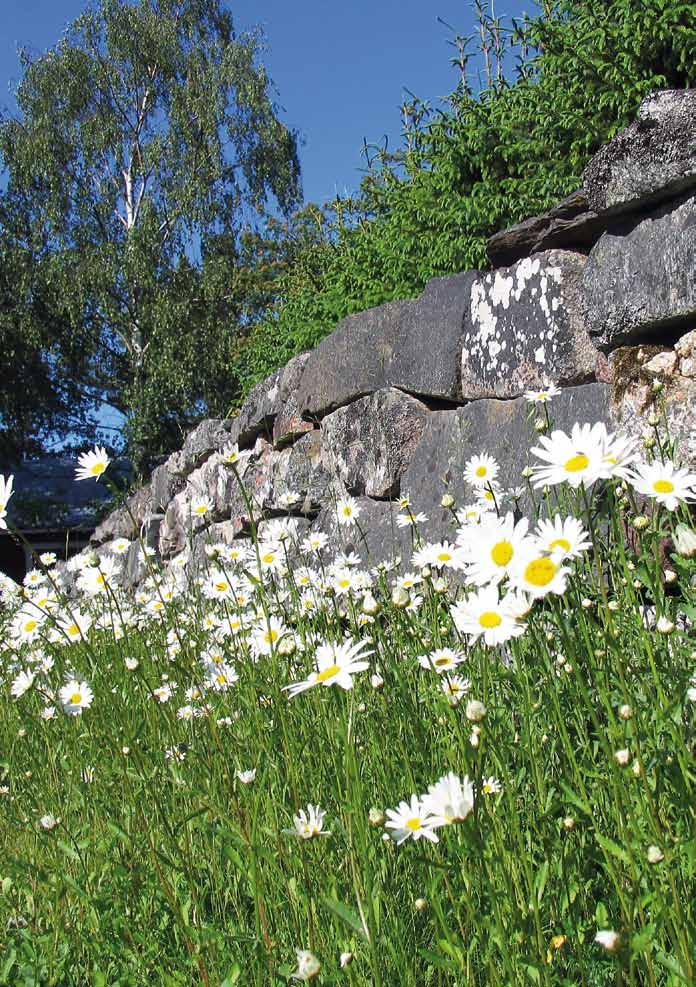 Hörnstenen Teologiska