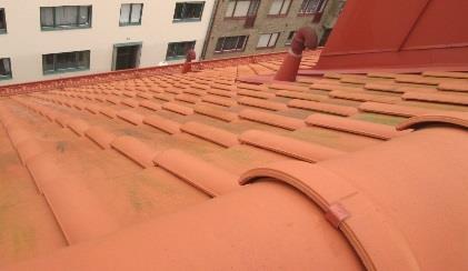 Tegeltak Återkommande tvättning av tak för att få bort påväxt.