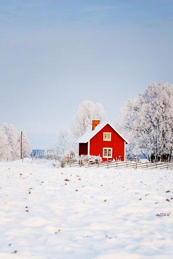 Larmcentral Fjärrstyrning Klimatövervakning Värmestyrning -allt i en och samma enhet Fjärrövervakning av lagerlokaler, temperaturkoll på serverhallen eller larmsystem i fastigheter.