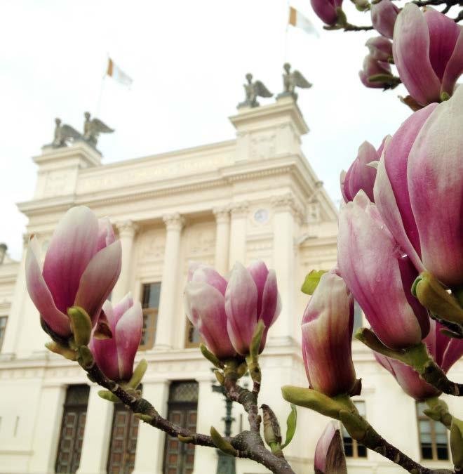 Tidplan kartläggning och analys Höst 2017: Kartläggning och analys Rapport till LTHs kansli 2 oktober Höst 2017 och en
