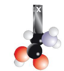 Varför är det viktigt att du äter proteiner varje dag? 5. Hemoglobin, muskler och enzymer är exempel på olika proteiner. Förklara vad de gör i kroppen. 6.