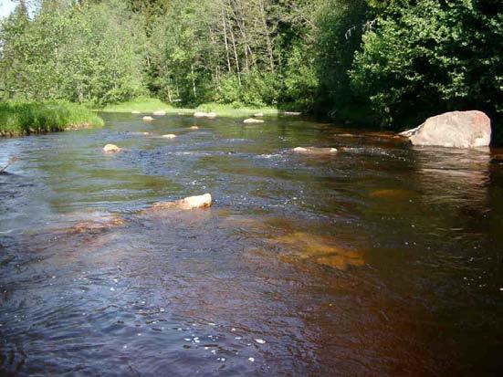 Hedströmmen Sträcka: Skommarbyn Lokalnr: 1008 X-koordinat: 6642596 Y-koordinat: 1485244 Datum: 2006-06-16 Flodpärlmussla (Margaritifera margaritifera) >100 Denna lokal ligger på en sträcka som