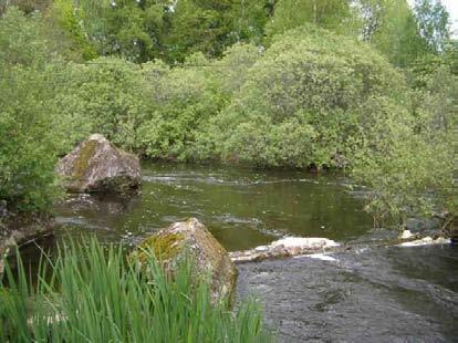 Svartån Lokal: Färdskärstorp Lokalnr: 40 X-koordinat: 6630772 Y-koordinat: 1532055 Datum: 2006-06-08 Norrström Avrinningsomr: Allmän dammussla (Anodonta anatina) 1 2 Lokalen är belägen i ett mycket