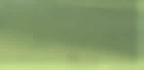 I fi nalspelet består varje lagmatch av en foursome-match och två singelmatcher.