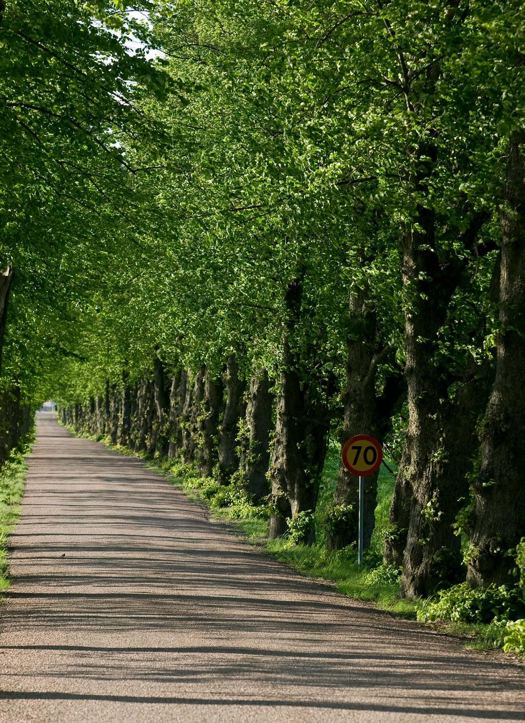 ETT NYHETSBREV FRÅN REGIONFÖRBUNDET SÖRMLAND NR 7 AUGUSTI 2018 INLEDAREN God mat växer inte av sig själv och gå och rösta!