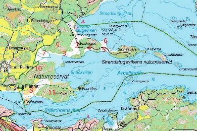100 Det sörmländska fågelåret 2010 Bild 1: Delområden av Strandstuviken som ingick i inventeringen. Inventeringar i hotade miljöer Sammanfattning av Göran Andersson.