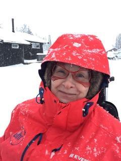att åka sittski, hundspann och snöskoter.