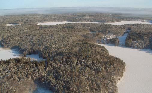 Bakgrund Ale 2006, Sv. Naturförvaltning AB På många områden i Sverige pågår en omfattande verksamhet för att bygga upp en fungerande och långsiktig älgförvaltning.