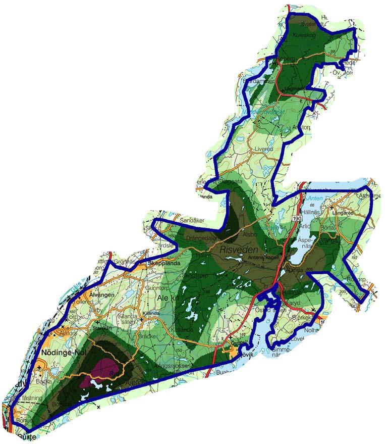 skogsmarker, förstärks den ojämna fördelningen av älgar i landskapet. En ovanligt hög andel av korna var kalvförande (ca 64 %) under inventeringen.