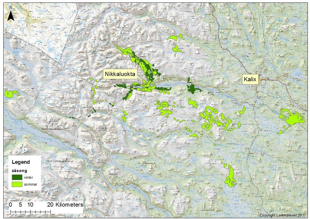 Storleken av sommar- och vinterområden kan skilja sig mycket åt för älgpopulationer med vandringssälgar. I figur 5 visar vi sommar- och vinterområden för de märkta älgarna i Nikkaluokta.