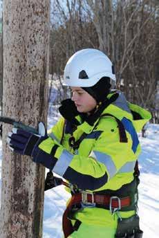 De som medverkar i yrkesrådet och erbjuder praktikplatser är: Energibranschen behöver dig!