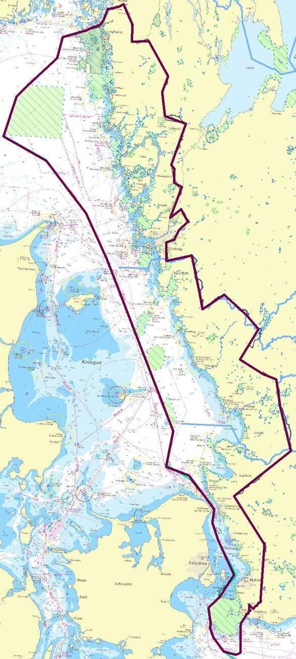 Strategi för bevarande av marina miljöer och arter i Västerhavet Länsstyrelserna i Skåne, Halland och Västra Götaland Del av Skydd och förvaltning av marina områden Västerhavet (särskilda