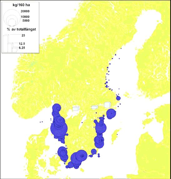 heller redovisades någon försäljning av strömming och skarpsill. Förstahandsvärdet under samma period från försäljning av torsk uppgick till 0,04 Mkr medan värdet av ålfisket uppgick till 3,4 Mkr.