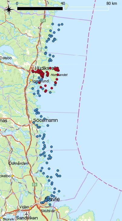 Kompletterande undervattensinventering av marina bentiska miljöer i Gävleborgs län RESULTAT Utöver de 50 stationer som inventerades med dropvideo i denna undersökning inventerades 320 stationer i