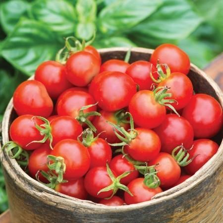 Man kan fråga sig vad finns det för ämne eller vitamin i tomaten som skulle kunna vara bra för oss i denna djungel av hälsokost som erbjuds.
