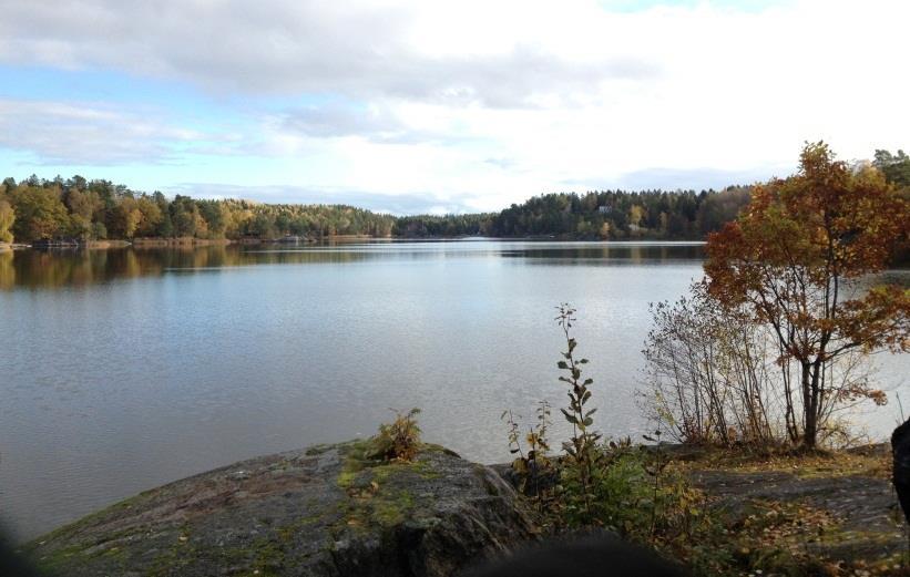 Utsikt över Långsjön från västra änden. Kvarnsjön-Lissma Vid Kvarnsjön i Lissma finns en av Huddinges artrikaste trollsländemiljöer.