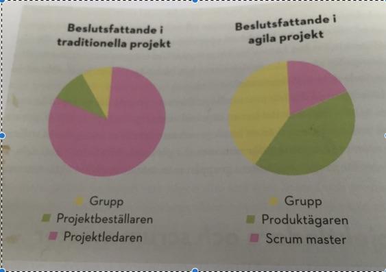 Utvecklingsteam mästare Är självorganiserande.