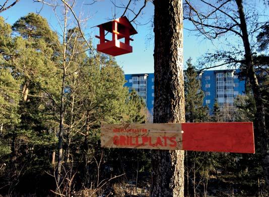 Många svar från den tidigare dialogen handlade om naturen och skogens värde, om djurlivet och fågelsången i parken och skogen.