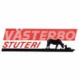 Stoserie på Bollnästravet.