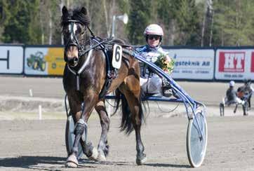 MÅNADENS HÄST Bollnästravetmaj 2017 MYRS HERA Vi gratulerar med segertäcke och hederspris Sto 3 år e. Bork Odin - Björs Faxa e.