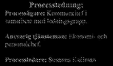 Stödjer processledare och beställaren tillika processägare. Hjälper till att förankra processen hos olika intressenter. Följer upp processens resultat och deltar i beslut.