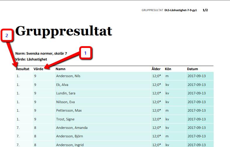 En PDF-fil skapas enligt figuren nedan.