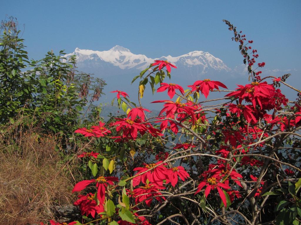 Mardi Himal trek & Chitwan nationalpark i Nepal Kathmandu Pokhara & Mardi Himal trek - Chitwan nationalpark Kathmandu Arrangerad och skräddarsydd av Swed-Asia Travels Bild vy i Pokharas omgivning -