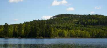 0652-13101 www.nordanstigsmanskor.