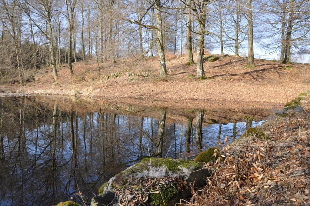 Skiftande, kuperad terräng med bl a utsikt över nejden, ättestupa, bäckar och äldre karpdamm med