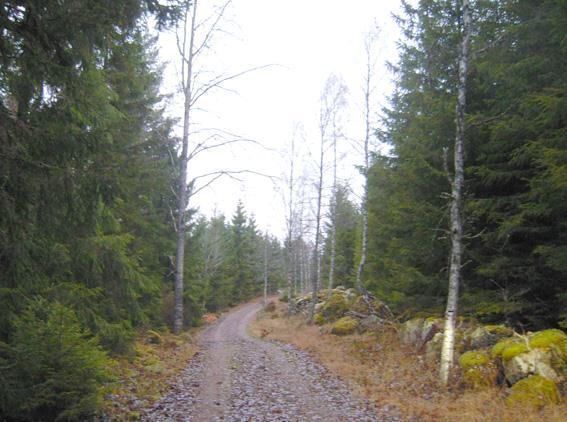 http://kulturarvsdata.se/raa/fmi/html/10060301300001 Ett sumpskogsområde i norra delen som ingår i våtmarksprojekt VMI finns registrerat, området saknar dock naturvärdesklassning.