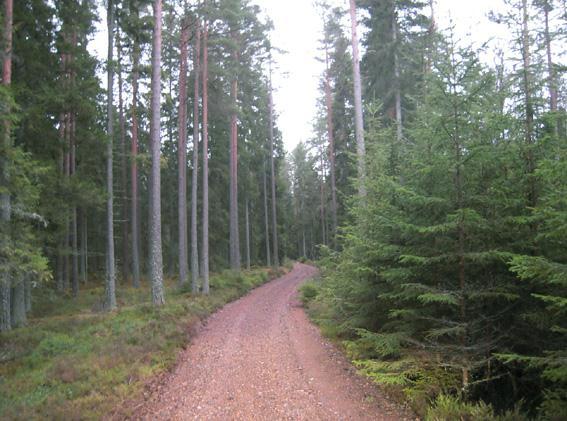 Inga nyckelbiotoper eller områden med höga naturvärden finns registrerade (Källa: Skogsstyrelsen, RAÄ) Vägar Enligt planen omfattar skogsmarken 60,3 ha med ett virkesförråd om 10 880 m 3 sk varav 7