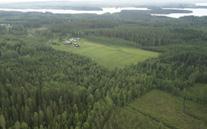Välkommen med din beställning Gör en beställning av SG-systemet genom din skogskontakt eller direkt på www.sg-systemet.com. Gärna före den 15 mars.