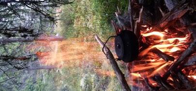LAPPMARK 21 ÅNGERMANLAND 22 ÖVRE NORRBOTTEN 24 AVELSKOMMITTÉERNA INFORMERAR 28