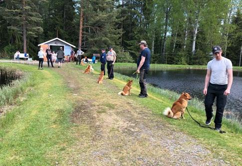 GÄVLEBORG återspeglade många av våra problem så som tillexempel varför hunden drar i koppel osv.