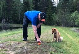 Och avslutade dagens övningar med att placera hundarna vid foten och rullade bollar mellan oss utan att dom fick leka för att fortsätta träna på ledarskaps biten.