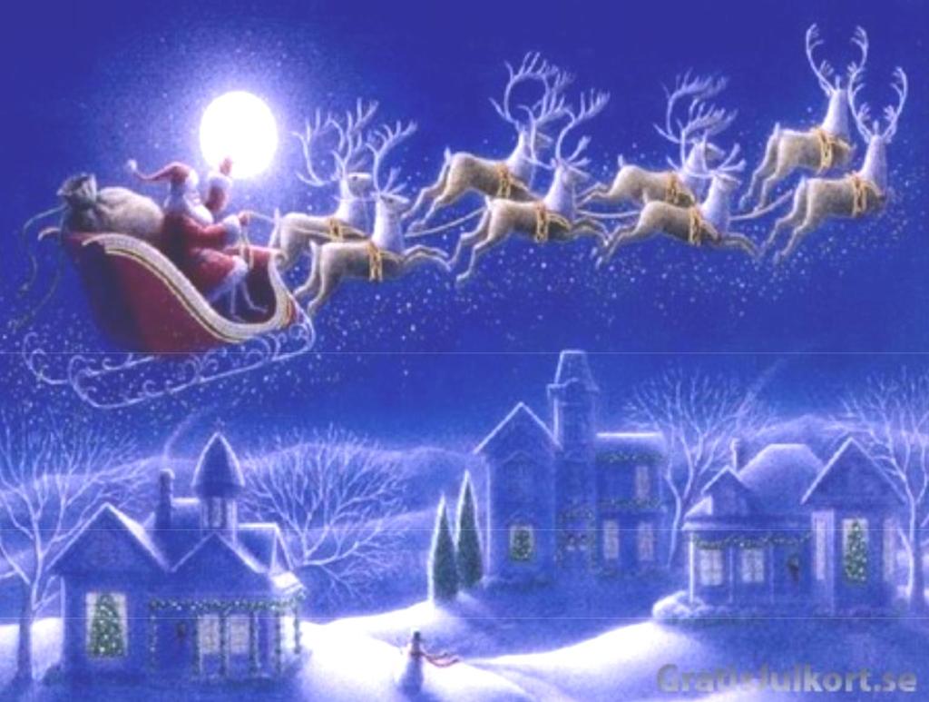 Styrelsen önskar alla medlemmar God Jul och Gott Nytt År!