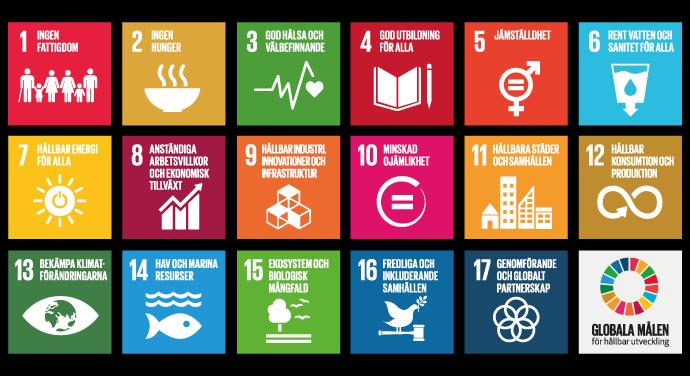 Agenda 2030 Under 2015 beslutade FN:s medlemsländer att förbinda sig till 17 globala hållbarhetsmål som ersätter Milleniemålen.