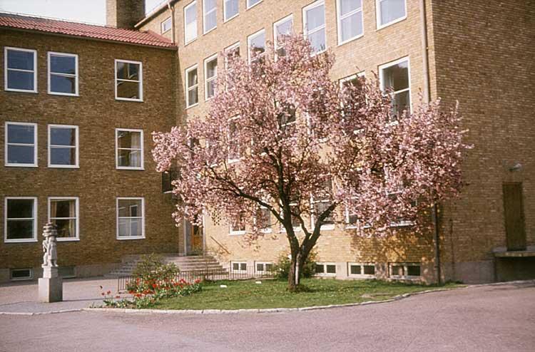 Gestaltning och kulturmiljöer Flera befintliga byggnader inom Kungsbergsskolan har ett kulturhistoriskt värde.